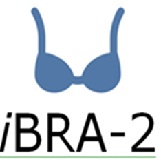 iBRA2