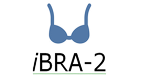 iBRA2