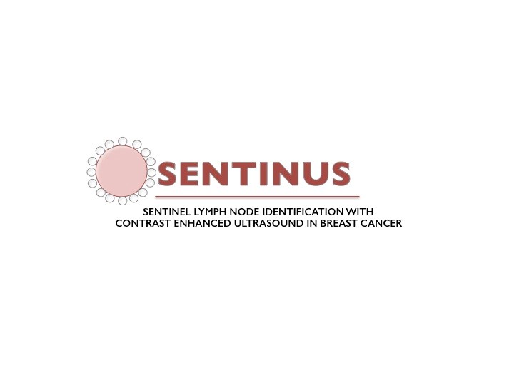 SENTINUS top image