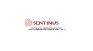 SENTINUS top image